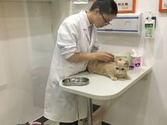 -创凡宠物医院·骨专科  猫科中心(西乡分院)