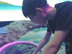 -暹罗海洋世界