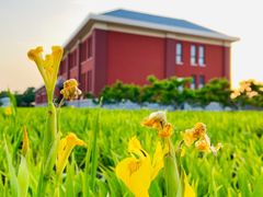 -南开大学滨海学院