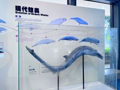 -中国（海南）南海博物馆
