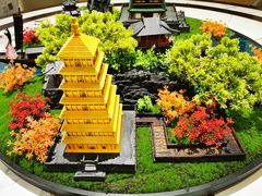 -秦月轩·长安小馆·新陕菜(阜成路·五棵松店)