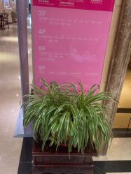 -北京俪婴妇产医院(朝阳大悦城店)