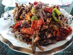 香辣蚂蚱-草根堂农场