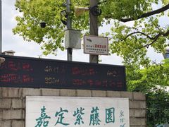 -嘉定紫藤园