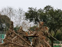 -成都动物园