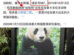 -成都动物园