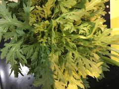 皇帝菜-幸运牛汕头小黄牛牛肉火锅(梅林店)