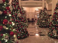 -LONG BAR 廊吧(外滩华尔道夫酒店)