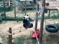 -大连森林动物园