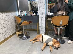 -海马体照相馆|大师(北京华贸中心店)