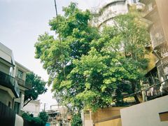 -厦门良筑精品酒店(厦门中山路店)