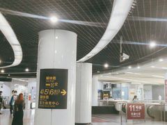 -东方体育中心(地铁站)