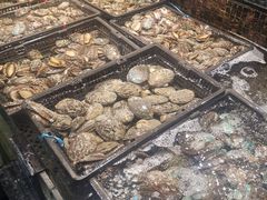 -马王堆海鲜水产市场