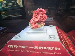 -湖南省地质博物馆