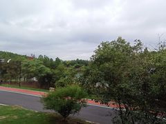 -南京市无想山景区