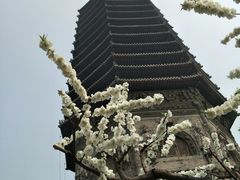 -玲珑塔公园