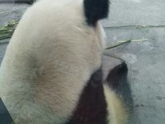 -无锡动物园·太湖欢乐园