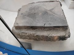 -金钉子远古世界景区