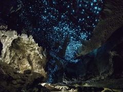 -怀托摩萤火虫洞