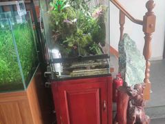 -繁花足道(梅江店)