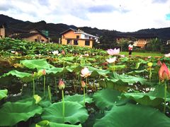 -南靖田螺坑土楼群景区