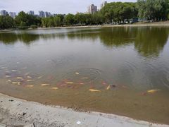 -太阳宫公园