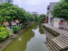 -贞姨芝麻糊