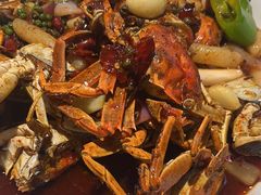 -杨氏青龙虾·羊蝎子(金盛路总店)