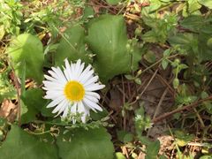 -南京市无想山景区