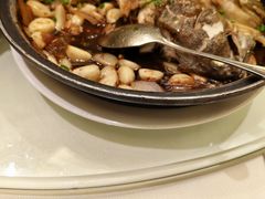 -国惠大酒楼(宝龙店)