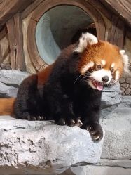 -Zoolung Zoolung动物主题公园(海信广场店)