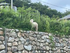 -大连天门山国家森林公园