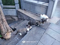 -云龙山