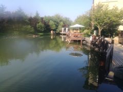 -芭东小镇温泉