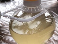 自酿米酒-妈妈的小作坊(陈家镇店)