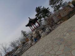 -大兴滨河森林公园