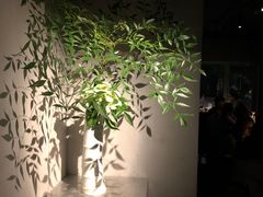 -穹六人间 people 6(岳阳路店)