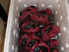 -秦记香辣蟹(松榆里店)