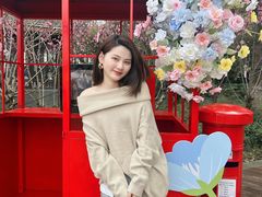 -金鸡湖桃花岛
