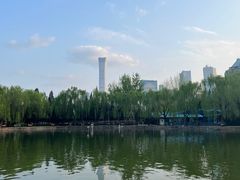-团结湖公园
