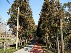 -上海长兴岛郊野公园