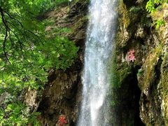 -沕沕水生态风景区