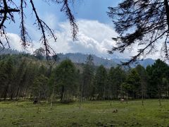 -硗碛藏寨·神木垒景区