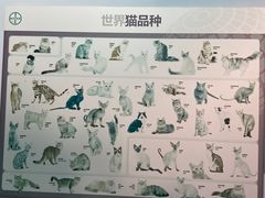-纳吉亚猫专科动物医院博雅分院
