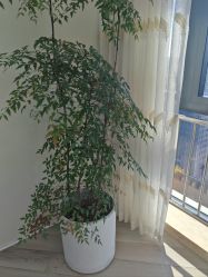 -HEYAN荷妍专业脱毛连锁机构