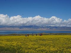 -青海湖国家重点风景名胜区