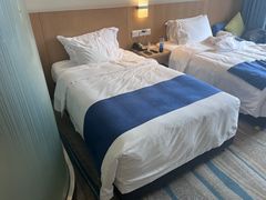 -都江堰中心国际酒店