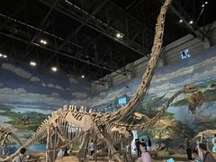 -自贡恐龙博物馆
