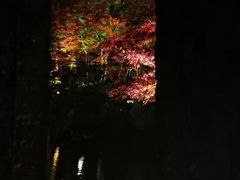 -醍醐寺