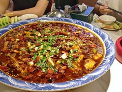 -新概念来凤鱼(璧山店)
